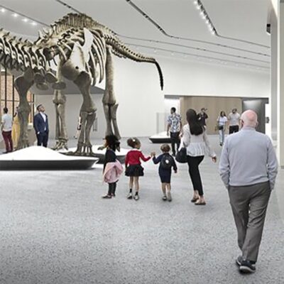 Museum Music/エドワード・スケレトリックス［CD］