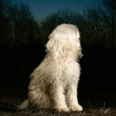 DOGA/フアナ・モリーナ［CD］