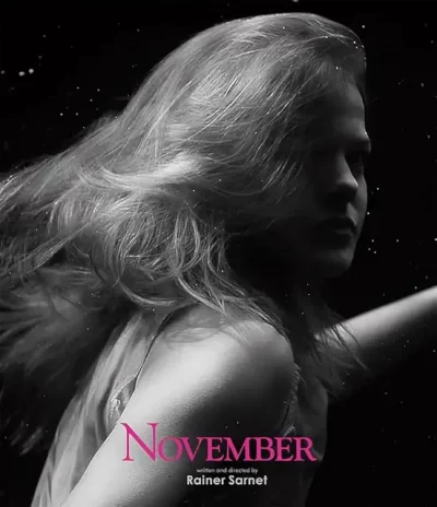 ノベンバー/ライナー・サルネ［DVD］