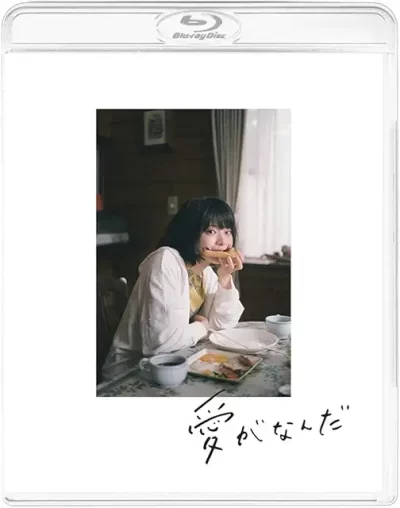 愛がなんだ/今泉力哉［DVD］