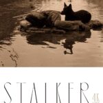 ストーカー／アンドレイ・タルコフスキー