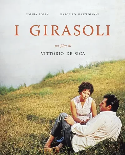 ひまわり/ヴィットリオ・デ・シーカ［DVD］
