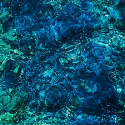 Luminescent Creatures/青葉市子［CD］