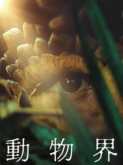 動物界［DVD］